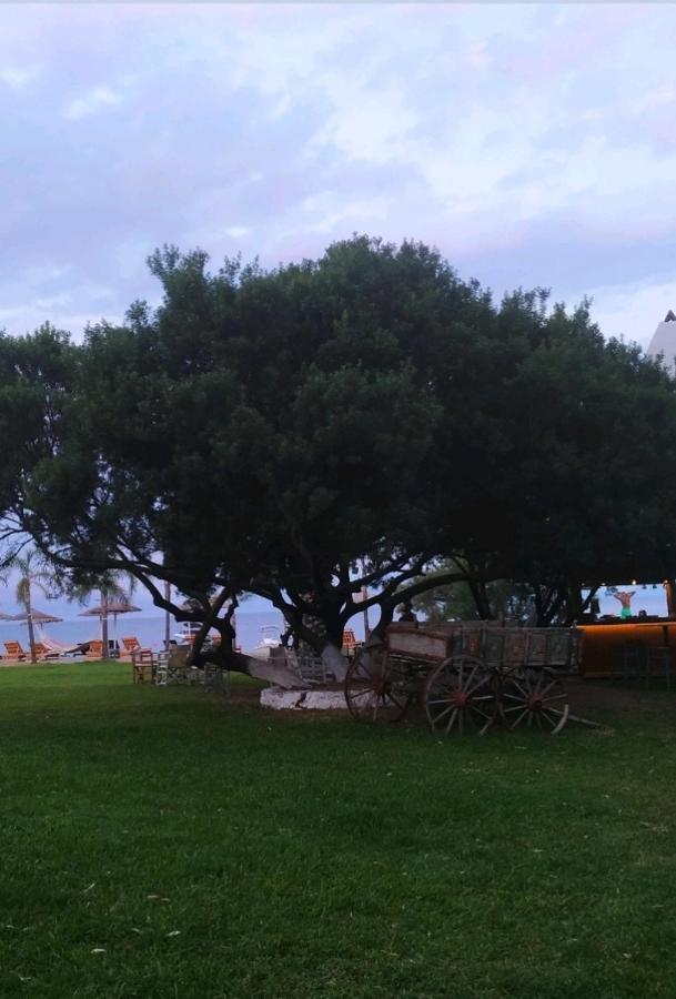 Ariti Luxury Apartment, ניקיאנה מראה חיצוני תמונה
